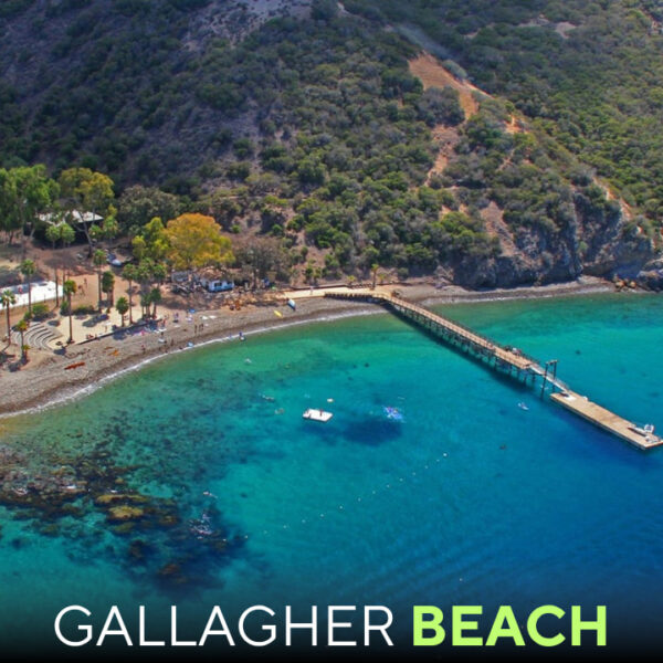 Gallagher Beach: Buffalo’s Underrated Waterfront Gem on Lake Erie