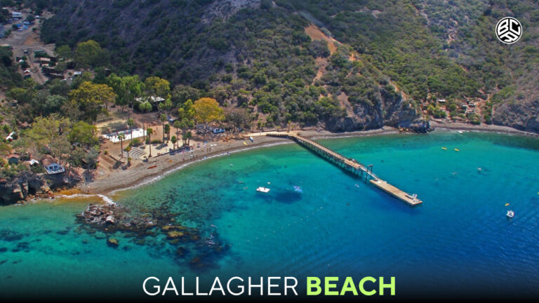 gallagher beach